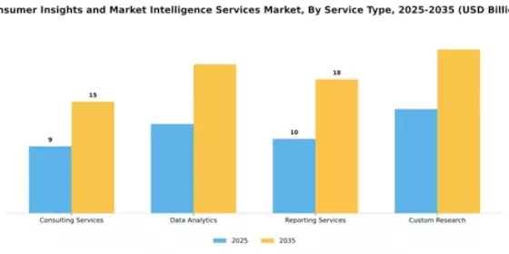 Consumer Insights and Market Intelligence Services Market Segment Image 4