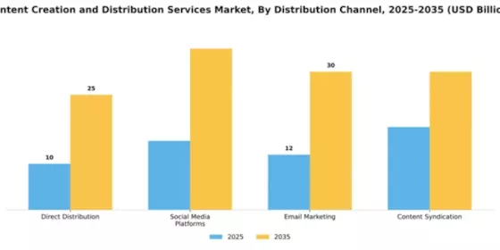 Content Creation and Distribution Services Market Segment Image 2