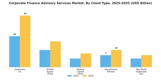 Corporate Finance Advisory Services Market Segment Image 0