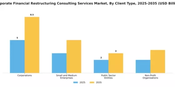 Corporate Financial Restructuring Consulting Services Market Segment Image 0