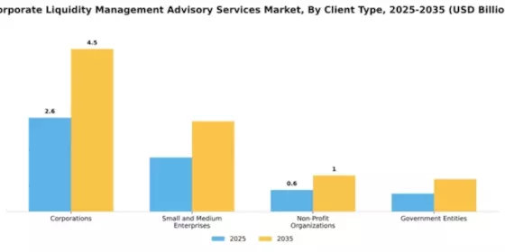 Corporate Liquidity Management Advisory Services Market Segment Image 0