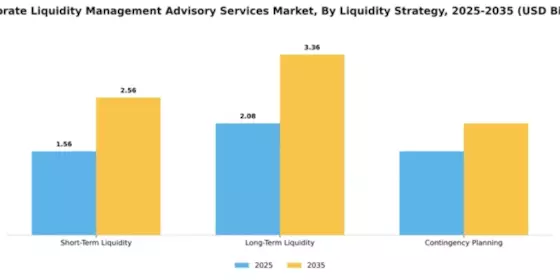 Corporate Liquidity Management Advisory Services Market Segment Image 3