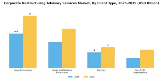 Corporate Restructuring Advisory Services Market Segment Image 0