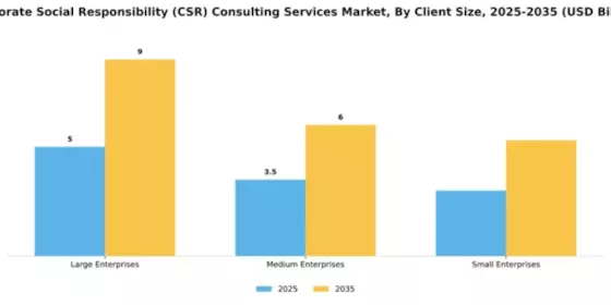 Corporate Social Responsibility (CSR) Consulting Services Market Segment Image 1