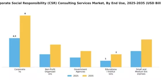 Corporate Social Responsibility (CSR) Consulting Services Market Segment Image 2