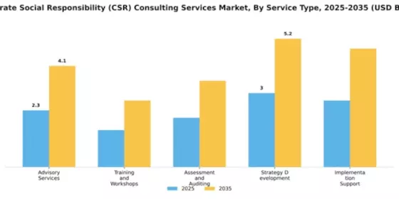 Corporate Social Responsibility (CSR) Consulting Services Market Segment Image 4