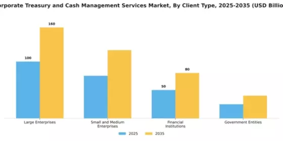 Corporate Treasury and Cash Management Services Market Segment Image 0