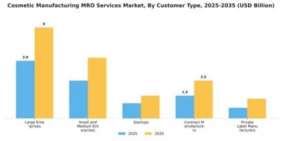 Cosmetic Manufacturing MRO Services Market Segment Image 1
