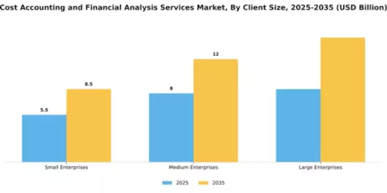 Cost Accounting and Financial Analysis Services Market Segment Image 1