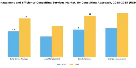Cost Management and Efficiency Consulting Services Market Segment Image 1
