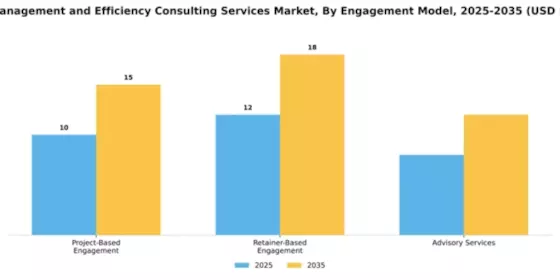 Cost Management and Efficiency Consulting Services Market Segment Image 2