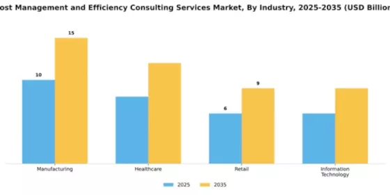 Cost Management and Efficiency Consulting Services Market Segment Image 3