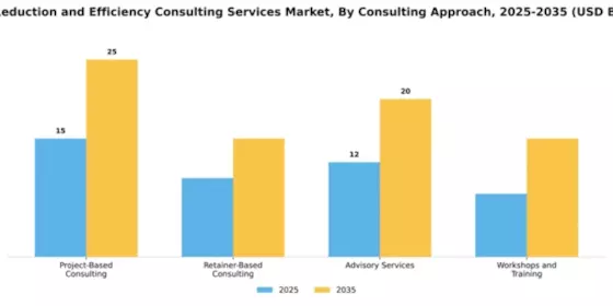 Cost Reduction and Efficiency Consulting Services Market Segment Image 1