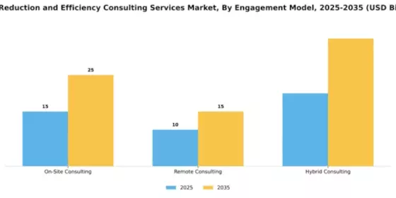 Cost Reduction and Efficiency Consulting Services Market Segment Image 2