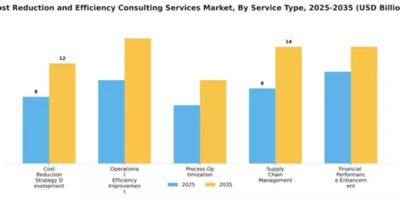 Cost Reduction and Efficiency Consulting Services Market Segment Image 4