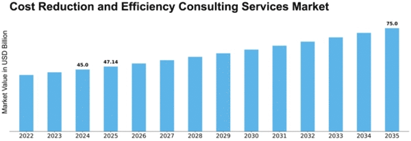 Cost Reduction and Efficiency Consulting Services Market Size