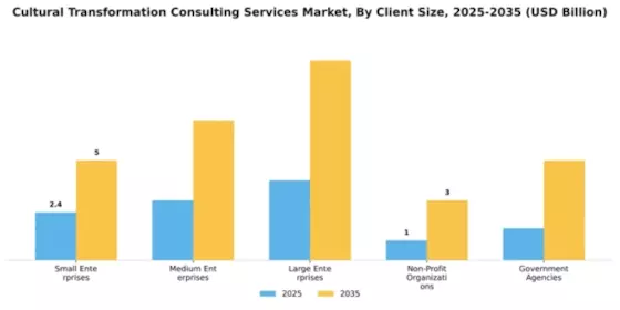 Cultural Transformation Consulting Services Market Segment Image 0