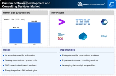 Custom Software Development and Consulting Services Market Infographic