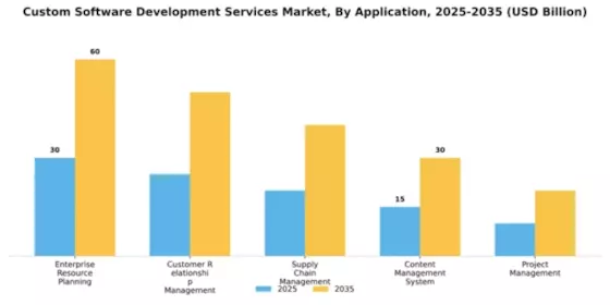 Custom Software Development Services Market Segment Image 0
