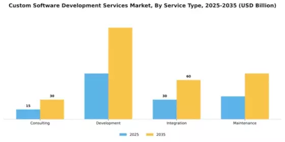 Custom Software Development Services Market Segment Image 3