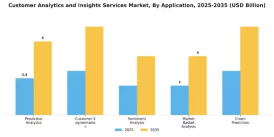 Customer Analytics and Insights Services Market Segment Image 0