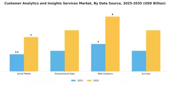 Customer Analytics and Insights Services Market Segment Image 1