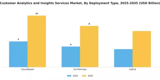 Customer Analytics and Insights Services Market Segment Image 2