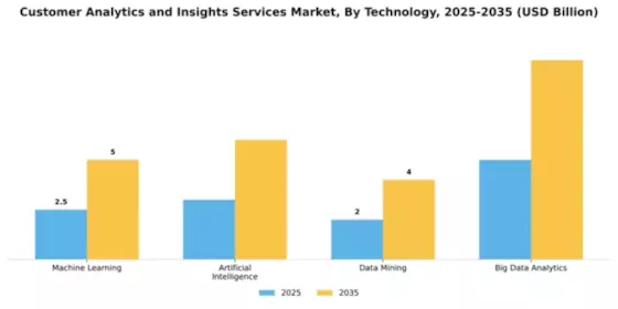 Customer Analytics and Insights Services Market Segment Image 4