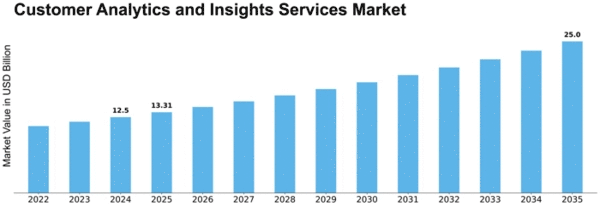 Customer Analytics and Insights Services Market Size