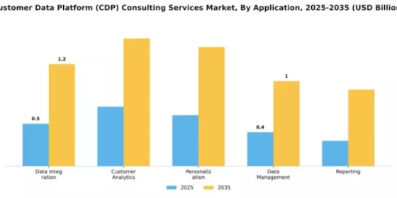 Customer Data Platform (CDP) Consulting Services Market Segment Image 0