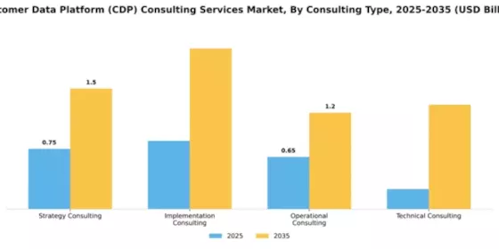 Customer Data Platform (CDP) Consulting Services Market Segment Image 1