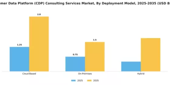 Customer Data Platform (CDP) Consulting Services Market Segment Image 2