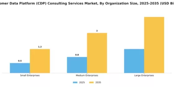 Customer Data Platform (CDP) Consulting Services Market Segment Image 4
