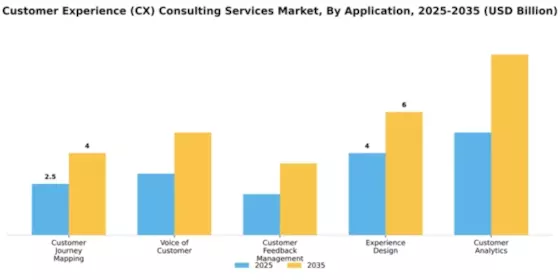 Customer Experience (CX) Consulting Services Market Segment Image 0