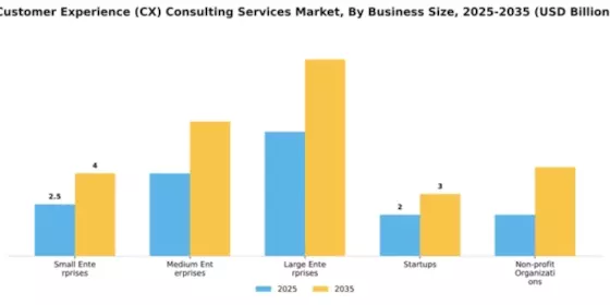 Customer Experience (CX) Consulting Services Market Segment Image 1