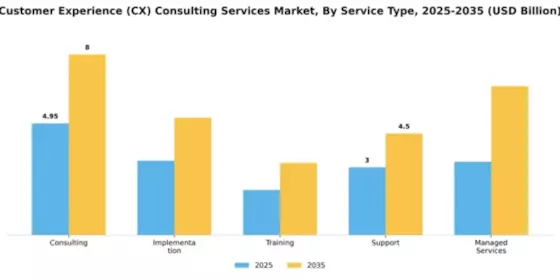 Customer Experience (CX) Consulting Services Market Segment Image 3