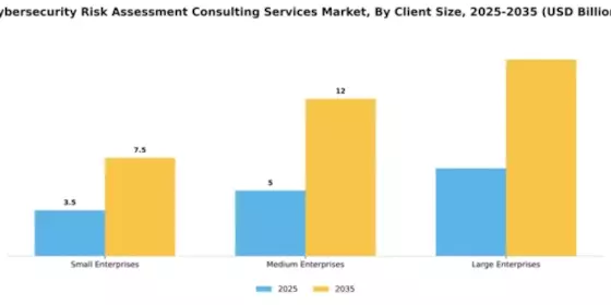 Cybersecurity Risk Assessment Consulting Services Market Segment Image 0