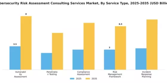 Cybersecurity Risk Assessment Consulting Services Market Segment Image 4