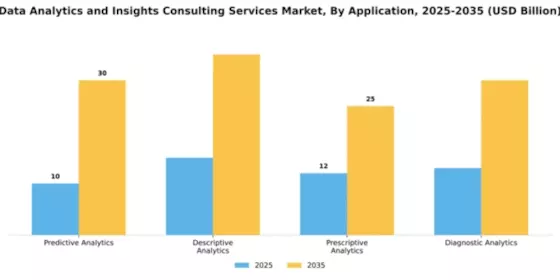 Data Analytics and Insights Consulting Services Market Segment Image 0