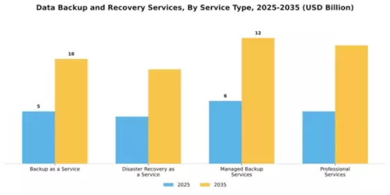 Data Backup and Recovery Services Market Segment Image 4