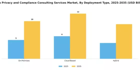 Data Privacy and Compliance Consulting Services Market Segment Image 1