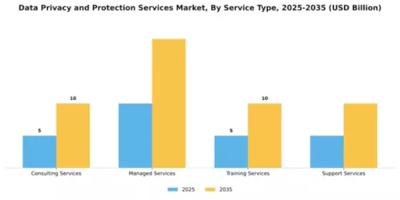 Data Privacy and Protection Services Market Segment Image 4
