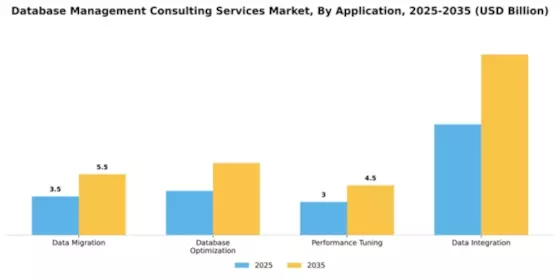 Database Management Consulting Services Market Segment Image 0