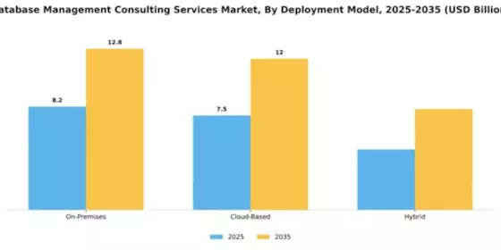 Database Management Consulting Services Market Segment Image 2