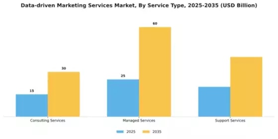 Data-driven Marketing Services Market Segment Image 4