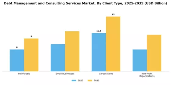 Debt Management and Consulting Services Market Segment Image 0