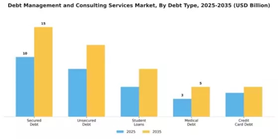 Debt Management and Consulting Services Market Segment Image 2
