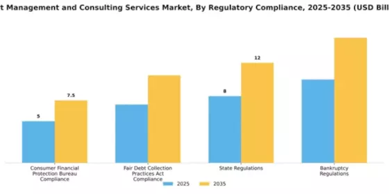 Debt Management and Consulting Services Market Segment Image 3