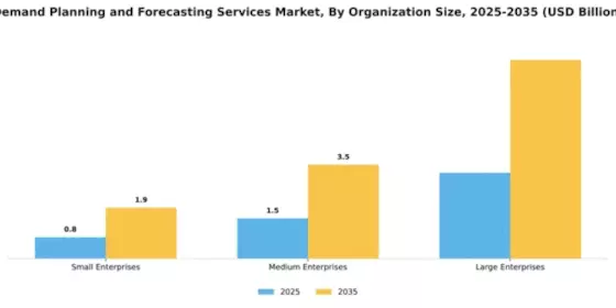 Demand Planning and Forecasting Services Market Segment Image 3
