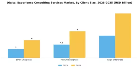 Digital Experience Consulting Services Market Segment Image 0